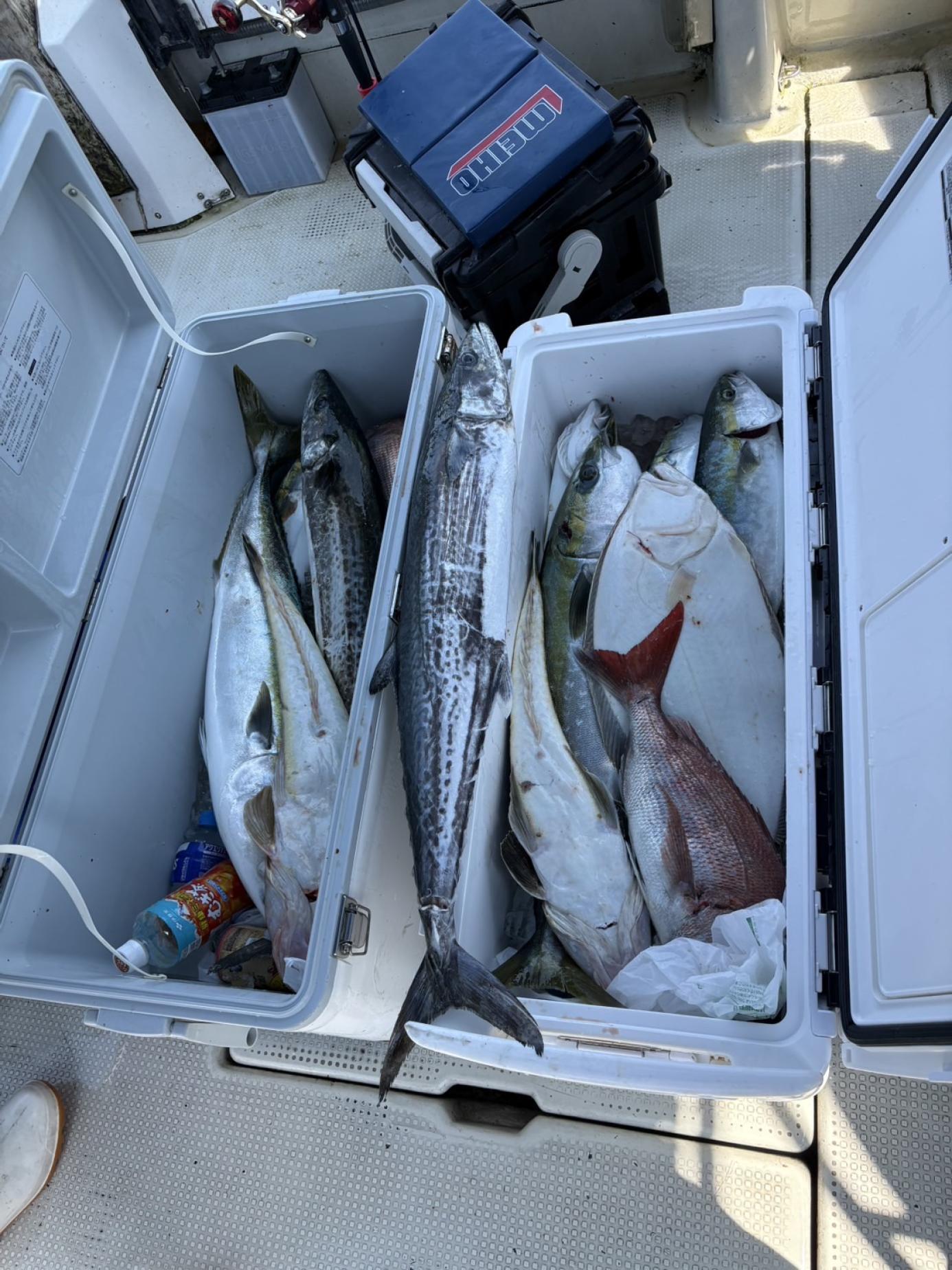 2025🐟第一回釣り大会